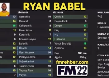 ryan babel fm 22