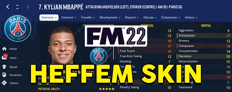 download fm 22 skin