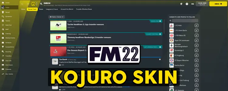 fm 2022 skin