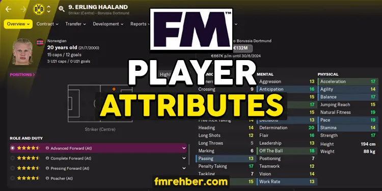 fm player abilities