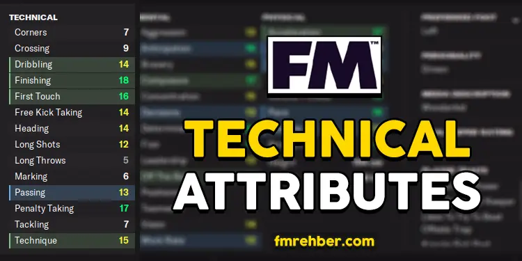 fm technical abilities