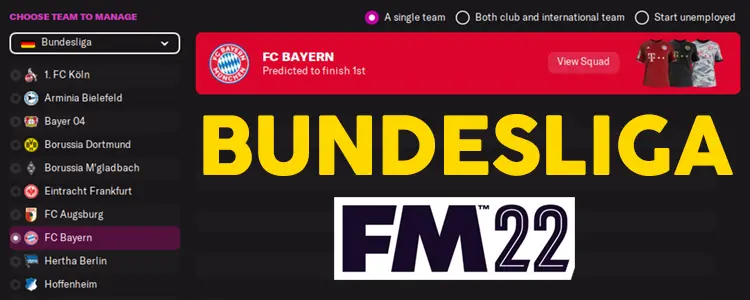 fm22 bundesliga